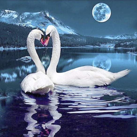 

100% Full 5D Diy Daimond Painting Animal Swan Lake 3D Diamond Painting Round Rhinestones Full Diamant Painting Embroidery Swan