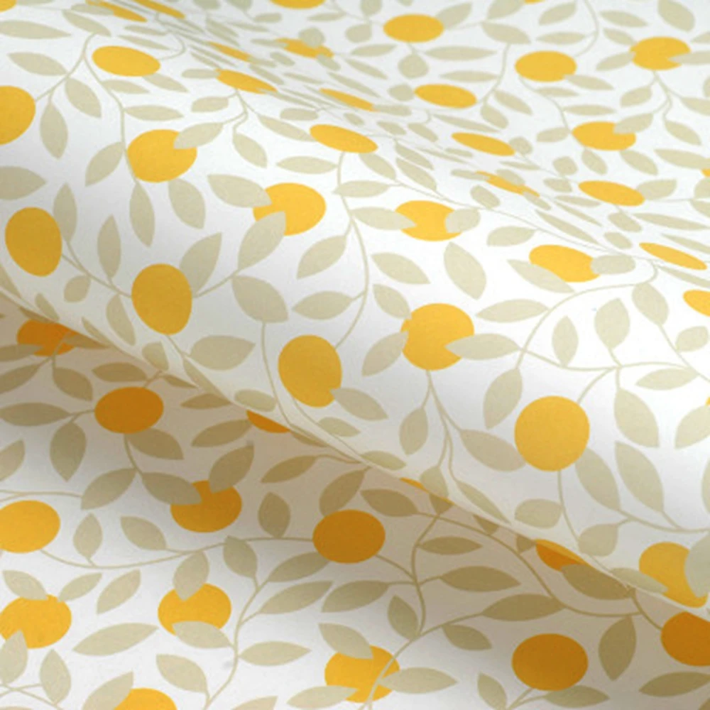 

ENO Greeting Gift Wrapping Paper Fresh Fruit Background Papers