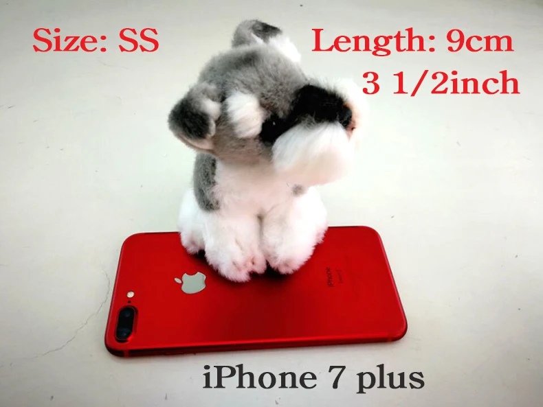 size-SS