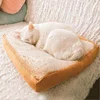 Plush Cat Mat