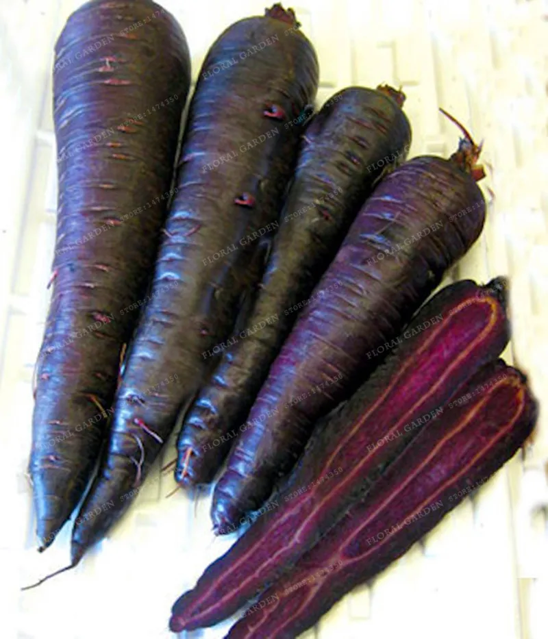 

300pcs Purple Dragon Carrot Bonsai Fruit Vegetable Bonsai Sweet And Healthy Plant For Home & Garden Ginseng Wucun Carrot