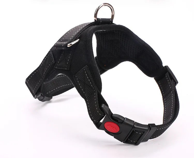 

Pet Supplies Demu Samora Labrador Chest Strap Leash Bulldog Dog Chain Golden Retriever Dog Medium CJJJCWGX00012
