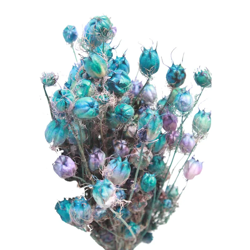 O1CN011GyyXj42DpyHWtI_!!2662610692