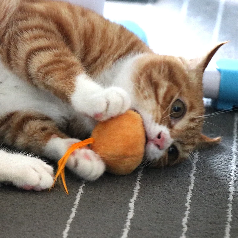 

2019 New 1 Pc Cat Catnip Toys Sound Pillow Interactive Fancy Training Catnip Plush Toy 5 Color Random