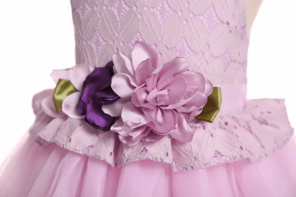 9062315924_655484822