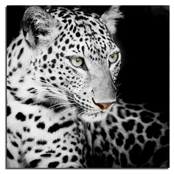 

Black White Leopard 60x60cm New 3D DIY Diamond Painting Home Decoration Rhinestones Mosaic Diamond Embroidery Knitting Needles