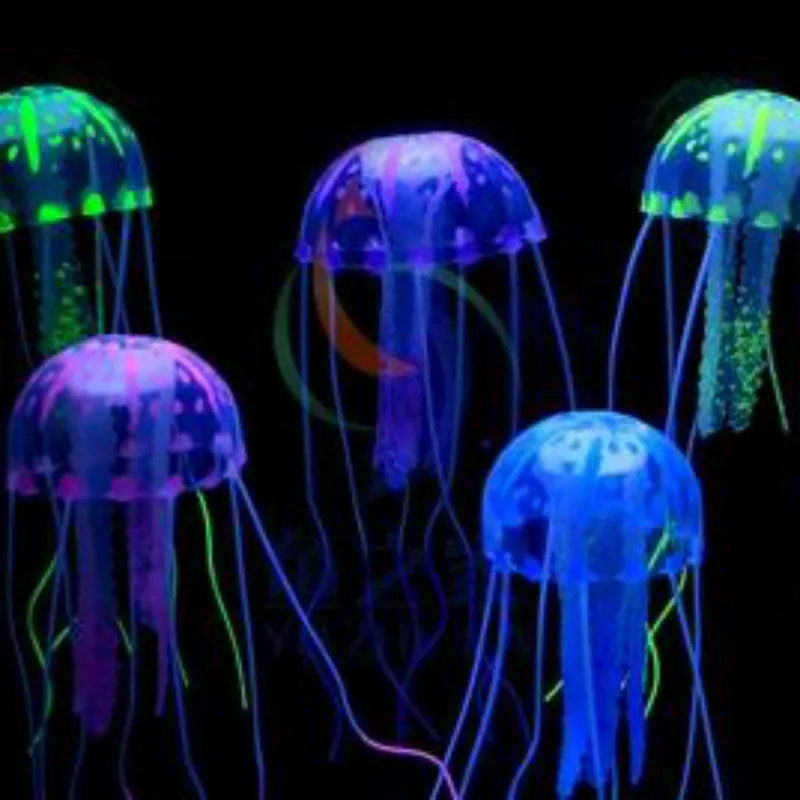 Online Buy Wholesale pet jellyfish from China pet