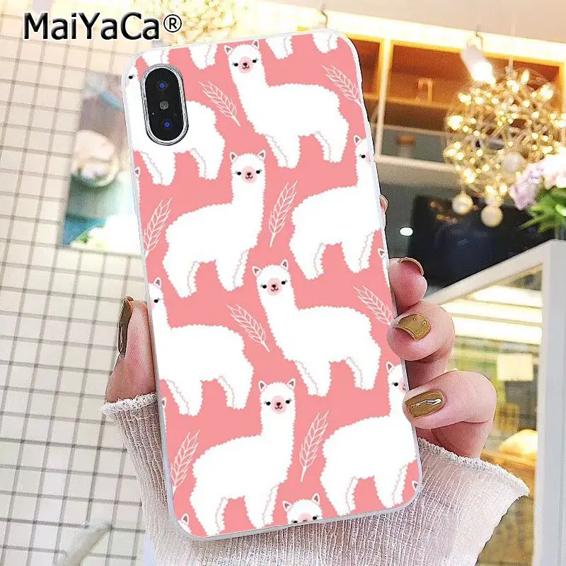 Lama Llama Alpacas Animal