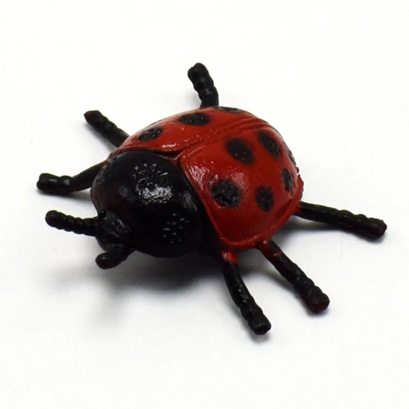 6444194085_1771713273