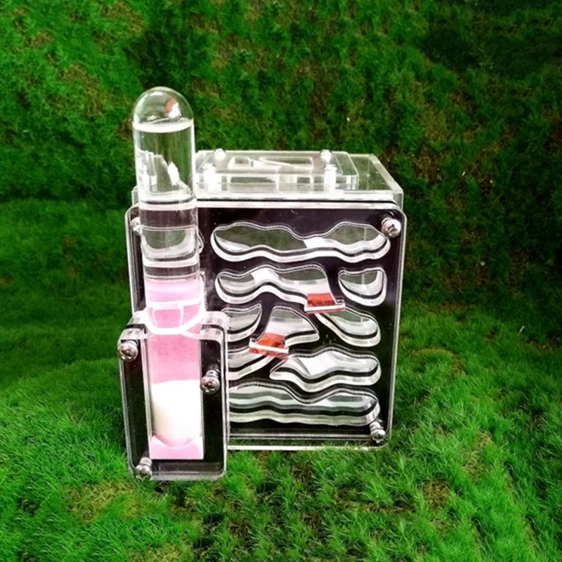 Фермерские муравьи DIY с зоной кормления гнездо фермы акрил насекомое муравьиные
