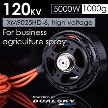 Dualsky многороторный дисковый двигатель XM9025HD-6 120кв Защита высокого давления логистическая воздушная камера БПЛА аксессуары