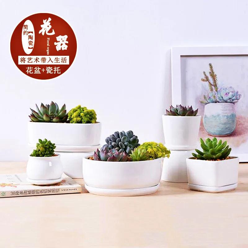 

1 Set Minimalist White Ceramic Succulent Plant Pot Porcelain Deep Rounded Pot Desktop Pot Zakka Home Decor