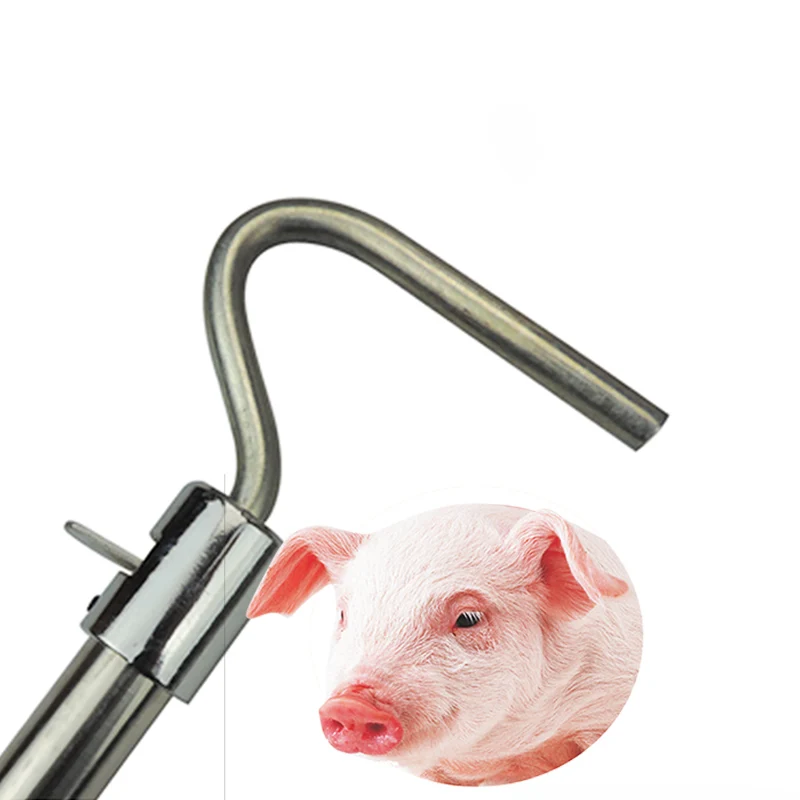 HTB1QqmFPVXXXXXyXpXXq6xXFXXXy