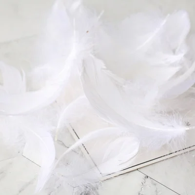 Высокое Качество натуральные перья цветные маленькие гусиные перья 5-10 см реквизит для фотосъемки фон для фотосъемки DIY украшения - Цвет: White