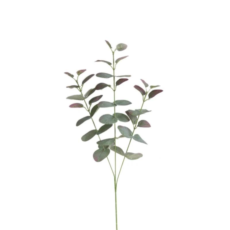 XY0642R (1)