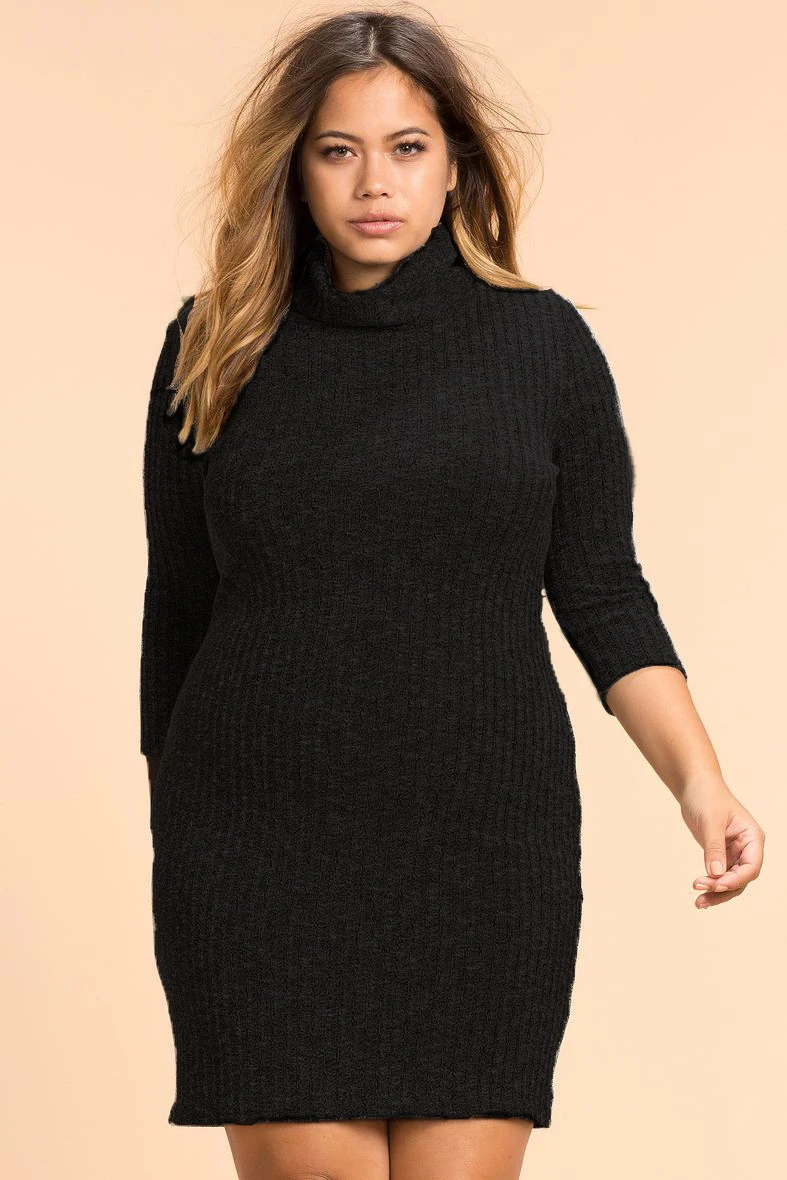 long sleeve turtleneck dress plus size