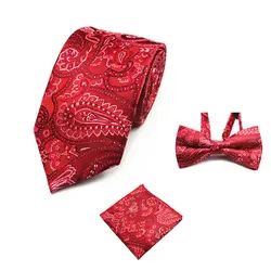 Мужской галстук-бабочка платок-галстук набор Регулируемый мужской бант-галстук бабочки квадраты смокинг вечерние свадебные бабочки GLTBF3