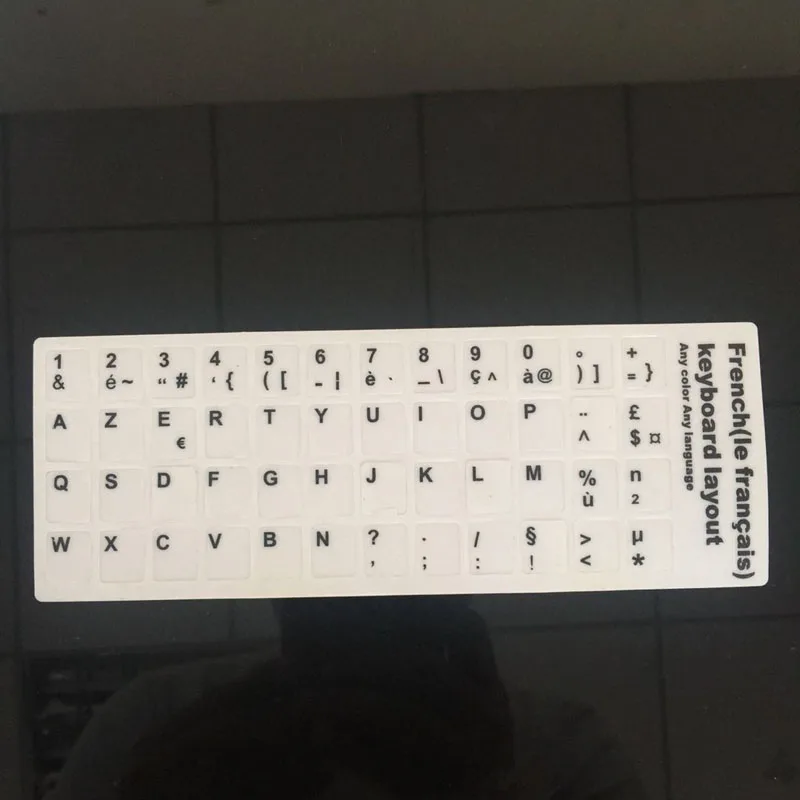 30003036 (4)