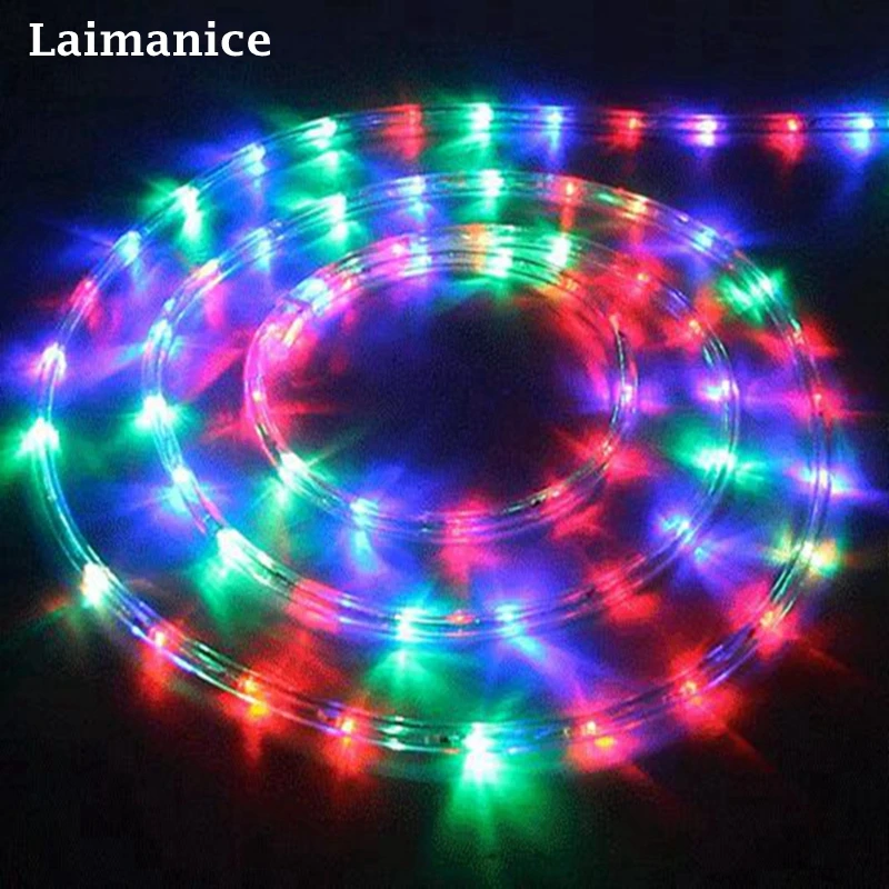 AC220V 20leds/m IP67 waterproof rgb led strip Christmas Decoration
