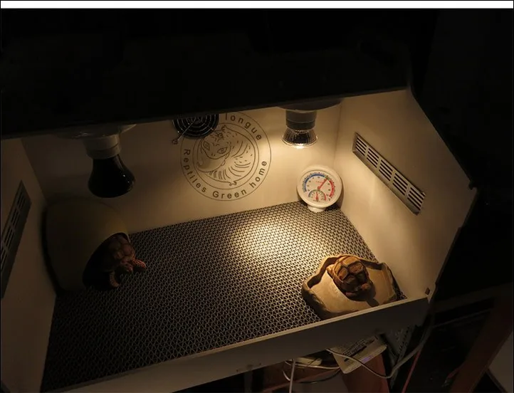 Sunning Heat Lamp 25~75 Watt Bulb, emits a broad-spectrum light, Provided A Basking Lamp Reptiles, Amphibians, And other Animals4