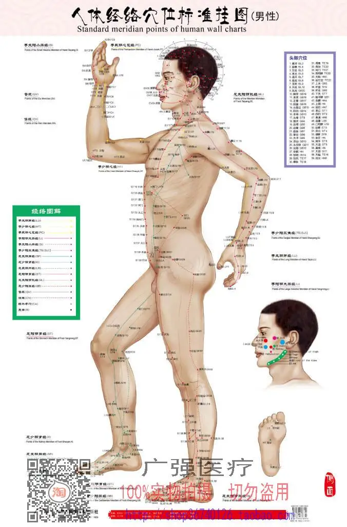 Стандартные пункты меридиана человека настенная диаграмма женский/мужской акупунктурный массаж точка карта Флипчарт HD 3 китайско-английские женщины