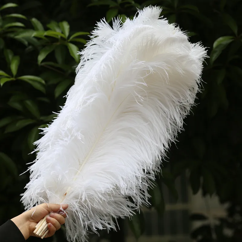 55-60 см 22-24 дюйма все размеры 10 шт белые страусиные перья для рукоделия карнавальные вечерние украшения на Хэллоуин свадебные украшения - Цвет: white