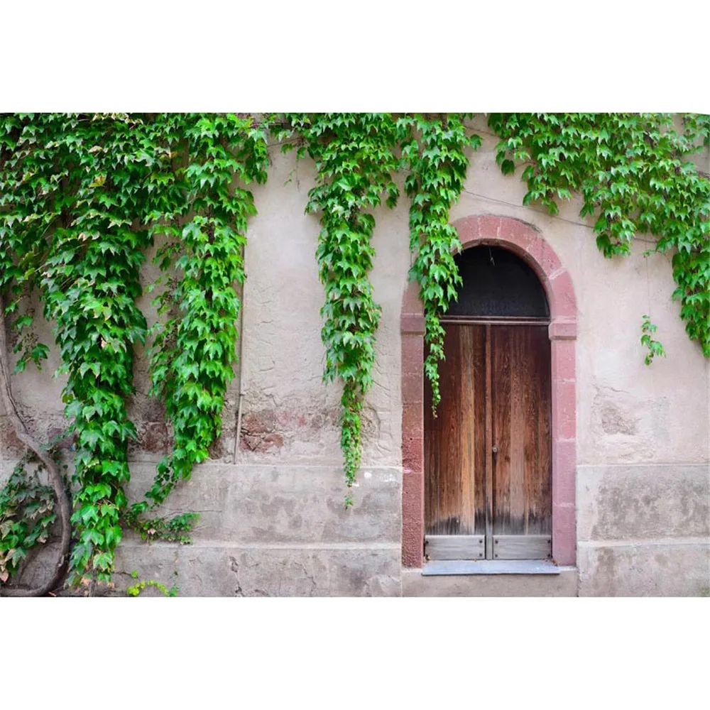 Stone Brick Wall Photography Background Vintage Wood Door Green Climbing Gecko Plant Backdrop For Photo Studio Booth Props | Электроника
