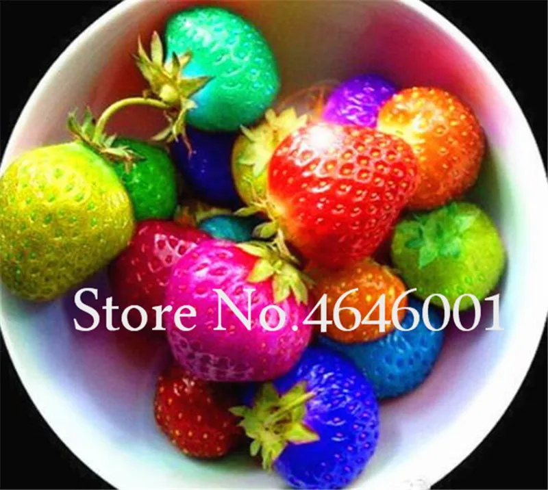 

100 pcs Rainbow Strawberry bonsai Tree plant 100% True Indoor Organic Very Delicious Fruit plant For Home & Garden Bonsai plant