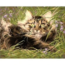 Трава кошка котенок животное DIY цифровая картина маслом номера Современная Настенная живопись холст подарок для домашний декор для детей 40x50 см