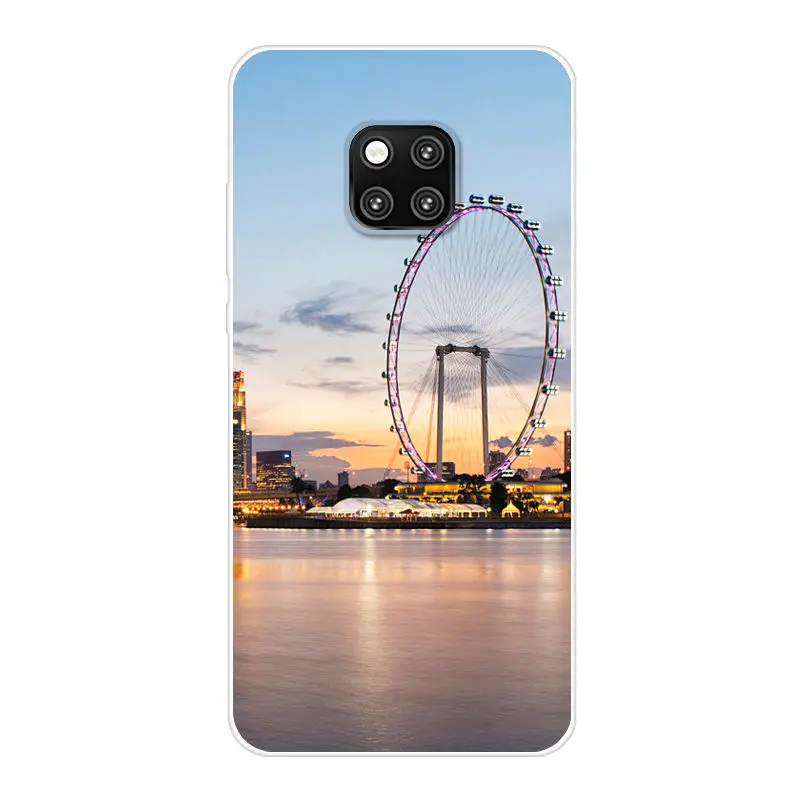 Huawei Mate 20 Pro (8)