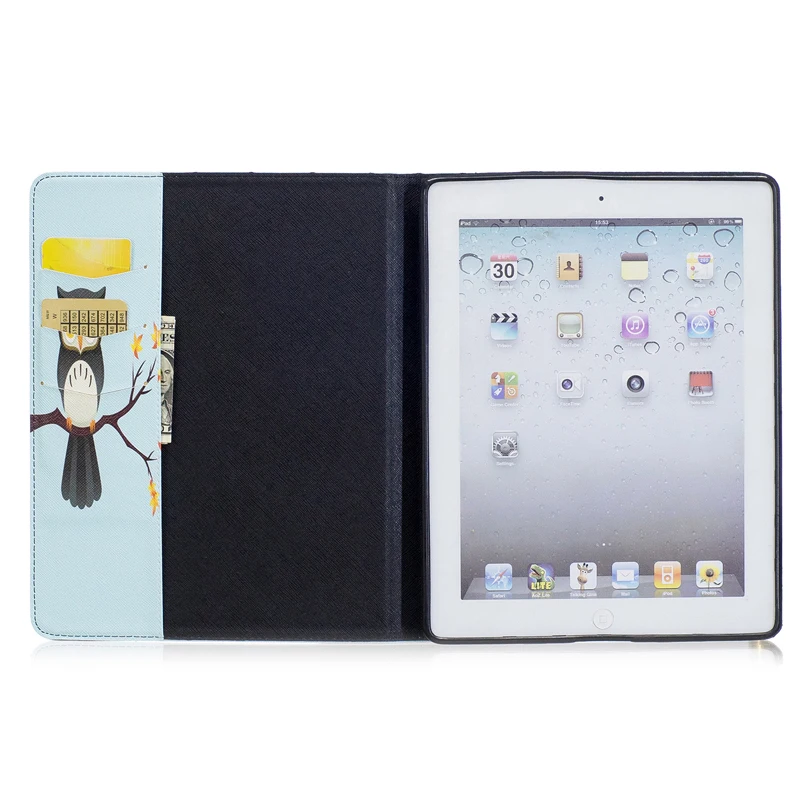ipad234 (16)
