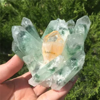 

580g Natural Green Ghost Phantom Quartz Crystal Cluster Green Quartz Crystal Healing Specimen
