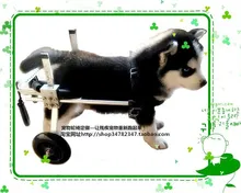 Disabled dogs, scooter / paralyzed dogs, wheelchairs / Pet hind legs, scooter / small pet wheelchairs / dog drawn carts, XS
