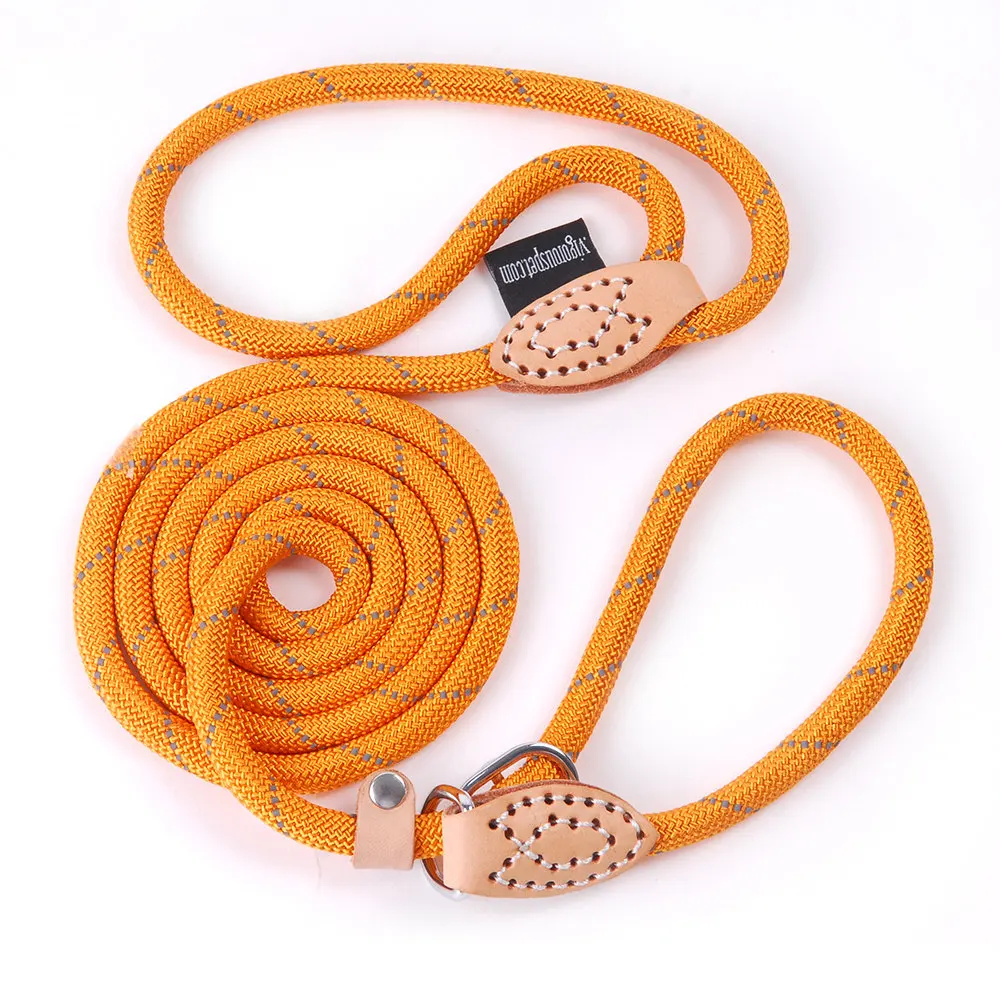Pet Products Dog Leash Nylon Reflective Puppy Dog Leash Rope Cat Chihuahua Pet Leash And Collar Set Cat Dog Leashes Lead Harness (21)