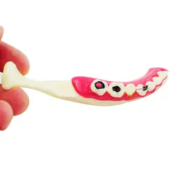 Брекеты, зубные челюсти ткани зубов демонстрация анатомическая модель пациента исследование Teach модель 380062