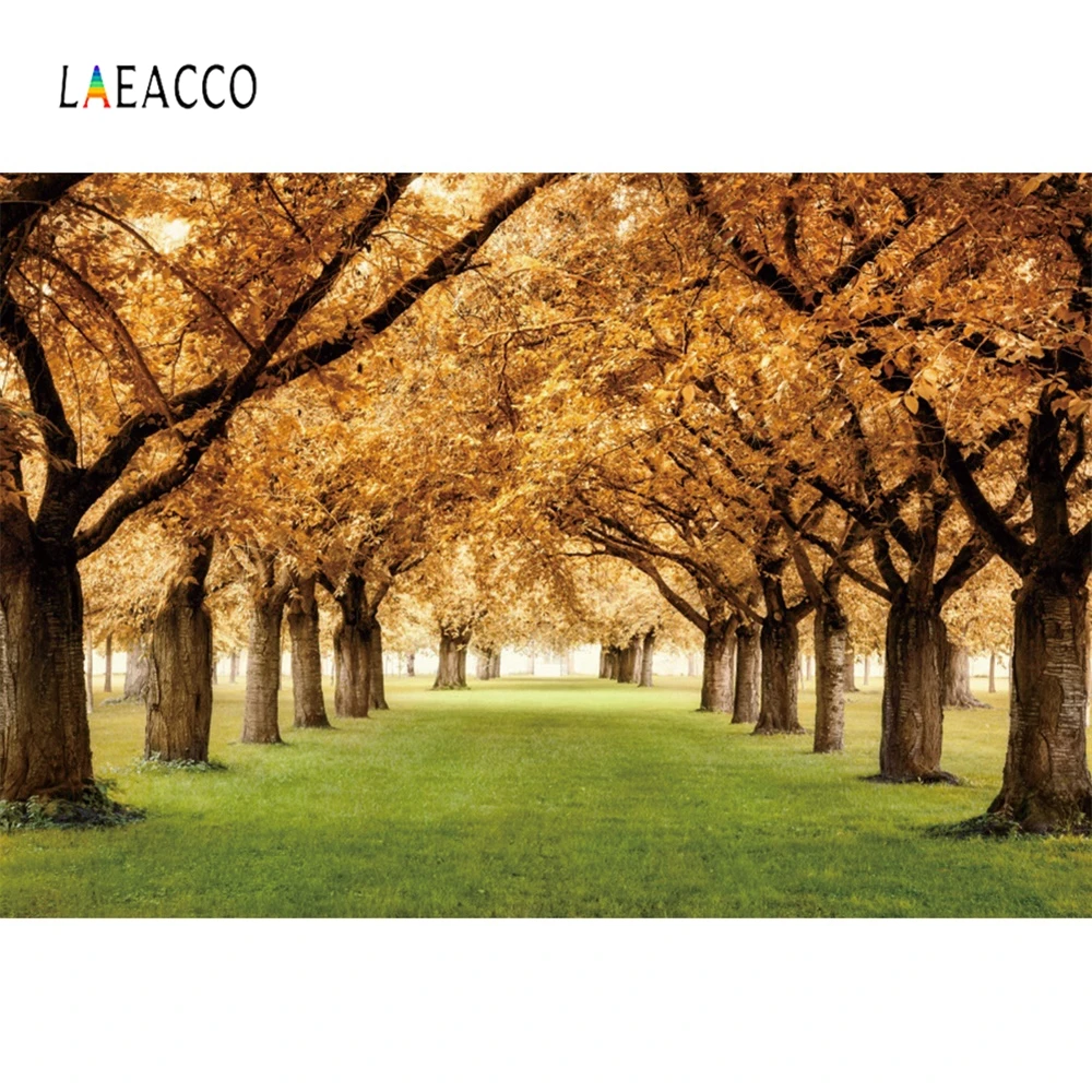 

Laeacco Romantic Avenue Tree Fallen Leaves Personalized Photocall Photographic Backdrops Photography Background For Photo Studio