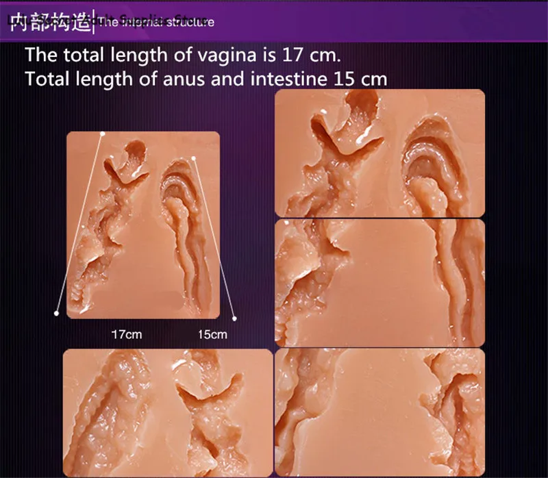 The total length of vagina is 17 cm. Total length of anus and intestine 15 cm