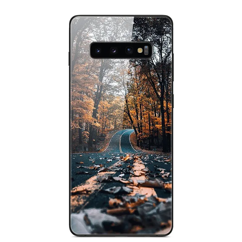 Чехол для samsung Galaxy S10 S10Plus, чехол из закаленного стекла для телефона, черный Чехол-бампер из ТПУ для samsung S10 Plus S10E S10+ s 10 - Цвет: 14