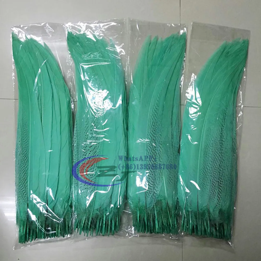 mmexport1492175003006