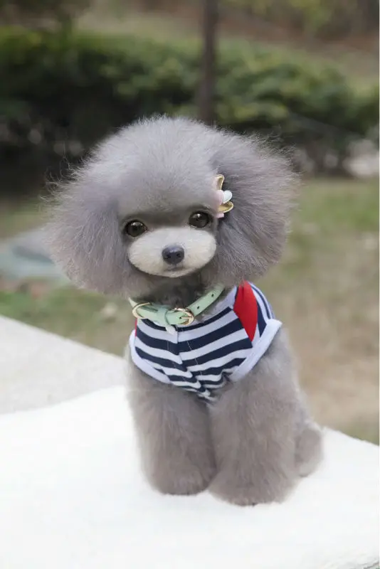 2016_Newest_Spring_Pet_four_legs_clothes_hot_sale_Pet_Sailor_Jumpsuit_Pants_Puppy_dog_Bib_Seaman_clothes_Lovely_ (11)