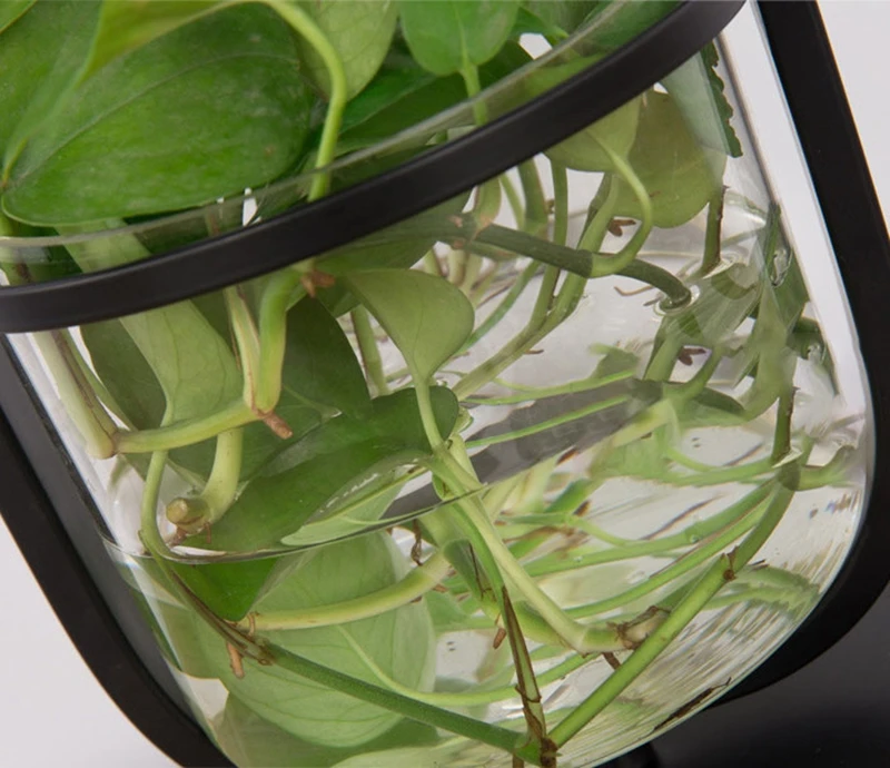 Creative Plant Table Lamp Study Bedroom Bedside Lamp Reading Living Room Table Light with Clear Glass Basin Home Decoration Lamp (10)