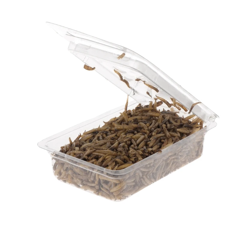 

1 Bag 10g Fishing Bait Artificial Lure Clean Dry Worms High Protein Carp Fishing Food Winter Carp Fishing Baits