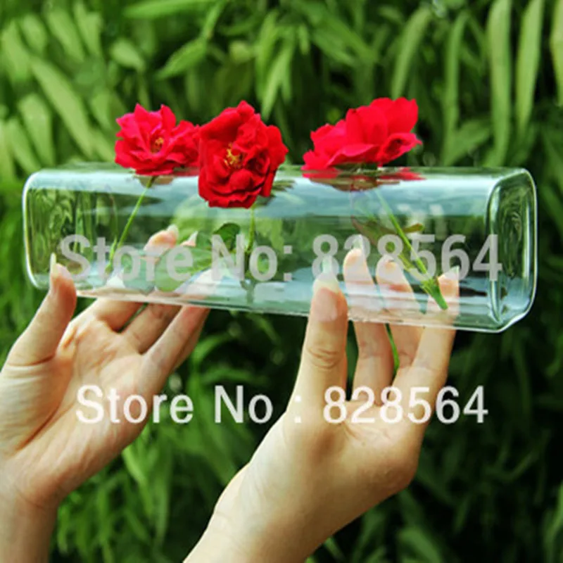 

Gigi gift hydroponic glass vase flower arranging device home decoration
