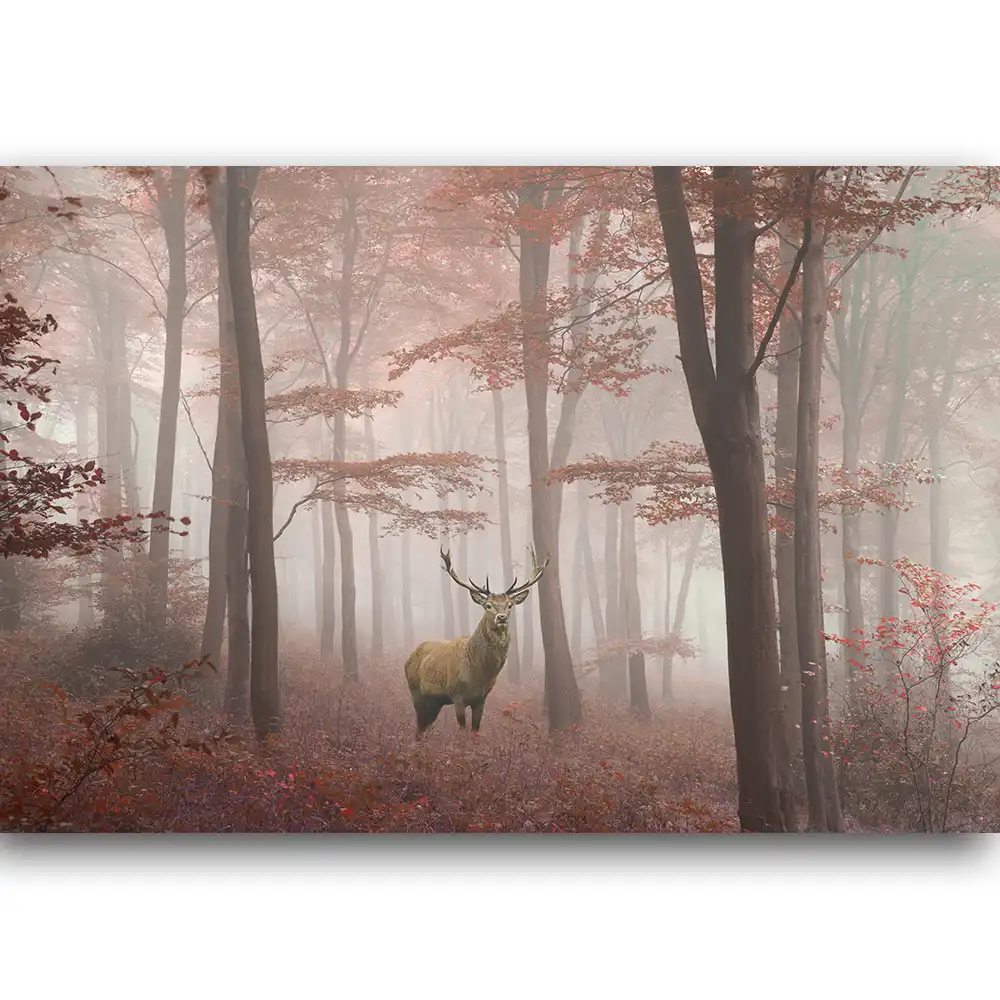 Abstract Animals Canva Prints Wall Art A Red Deer Stag In Foggy Autumn Forest Animals Photos Of Animal Oil Painting Home Decor Painting Calligraphy Aliexpress