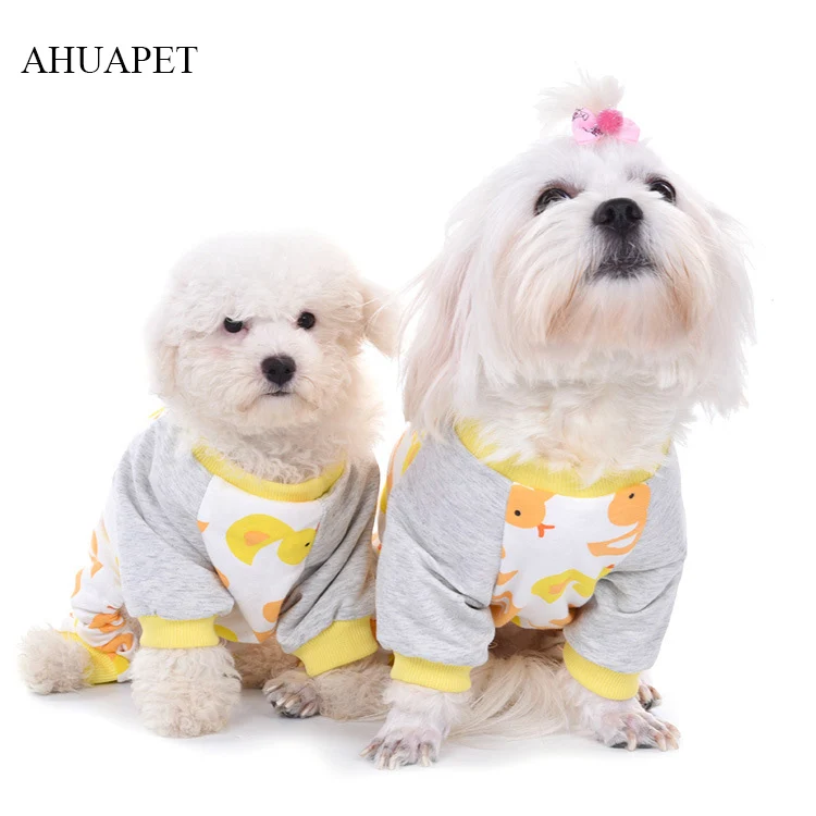 puppy clothes