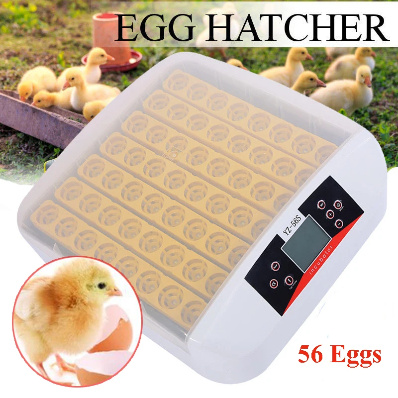 

56 Eggs Incubator Hatcher Machine Digital Temperature Control Automatic Turning Farm Hatchery Machine For Quail Chicken Eggs