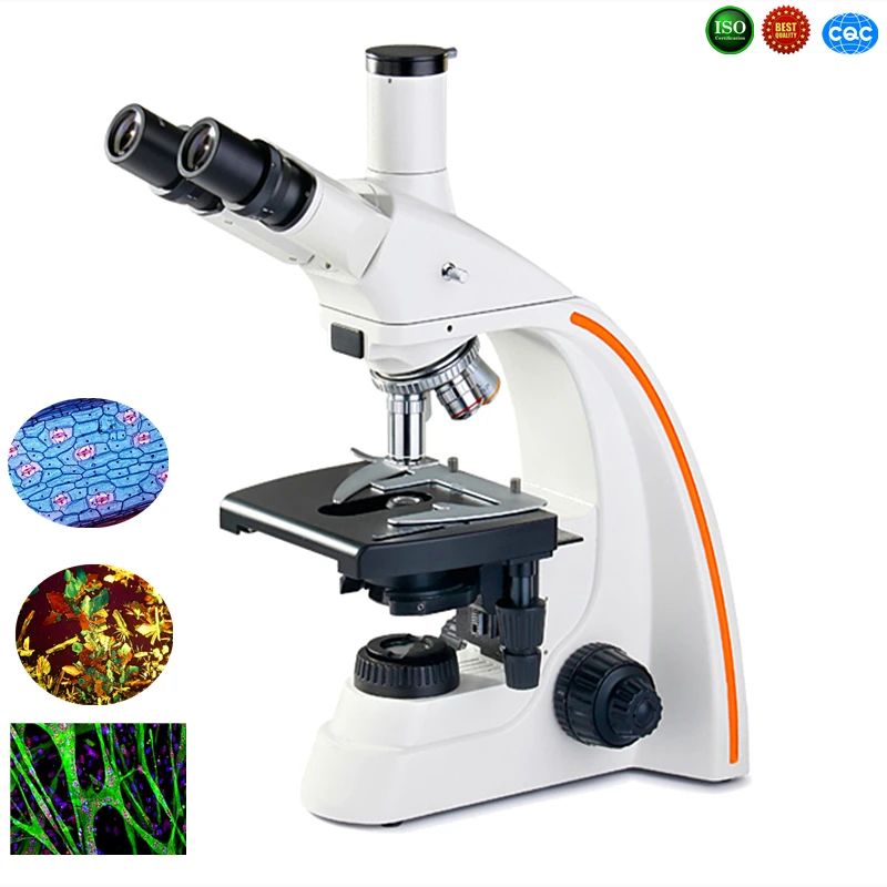 1600 Infinite Biological Microscope Cell Bacterial Tissue Culture