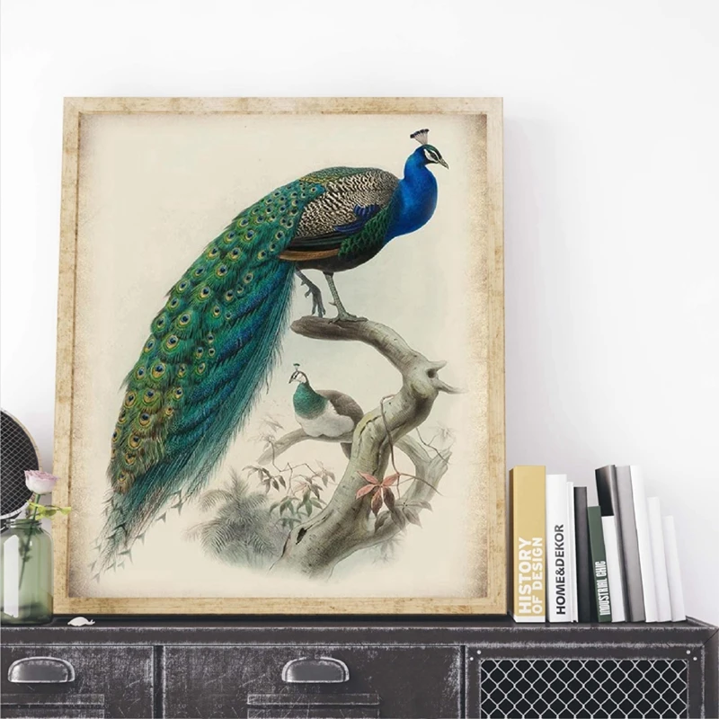 Peacock Bird Vintage Style Canvas Painting Home Decor