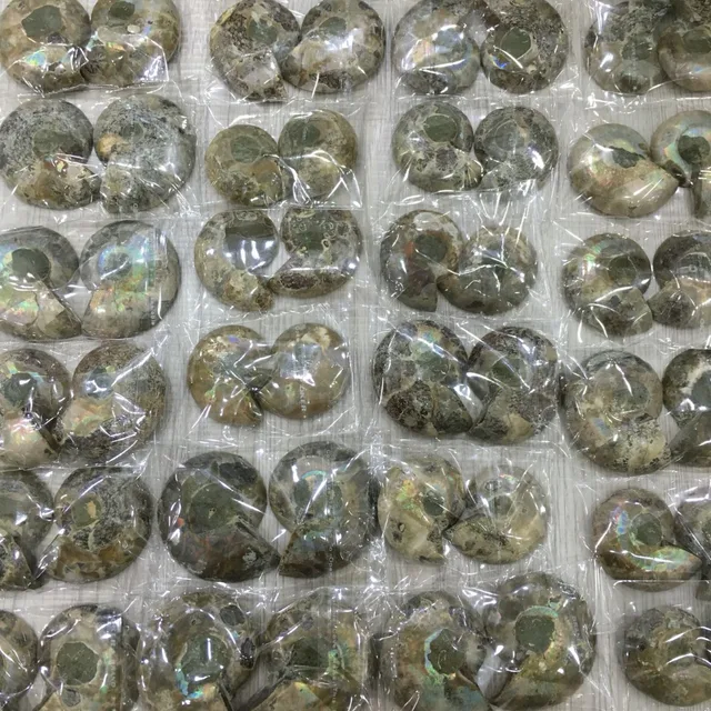 Best Offers 1lb Natural Rainbow Split Ammonite Fossil Cut in Half Madagascar healing. Pairs ,Wholesales Price, Free Shipping Best Offers 1lb Natural Rainbow Split Ammonite Fossil Cut in Half Madagascar healing. Pairs ,Wholesales Price, Free Shipping