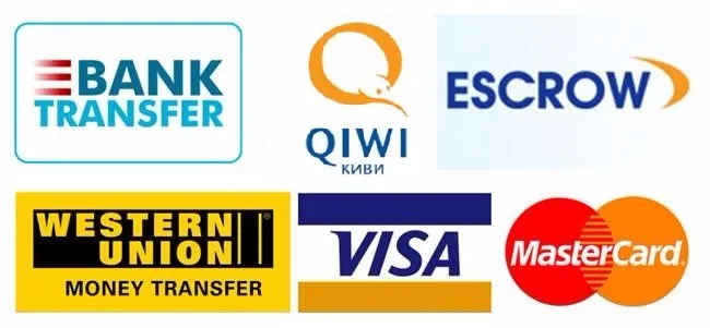 Payment Icon